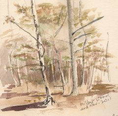 Milber Wood